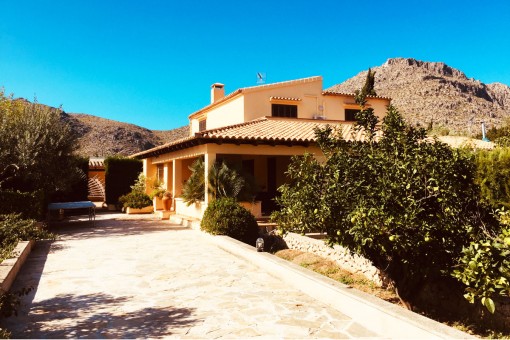 Semi-detached finca in a quiet location with private pool and large plot on the outskirts of Pollenca harbour