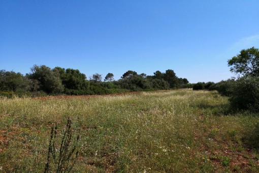 Large building plot in a quiet location near Pina