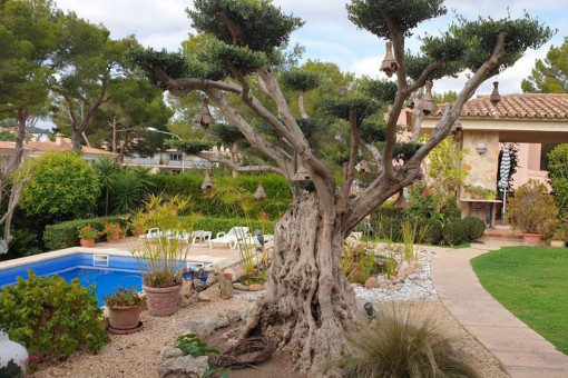 Villa à Santa Ponsa