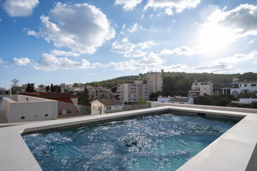 Appartement à Son Armadams