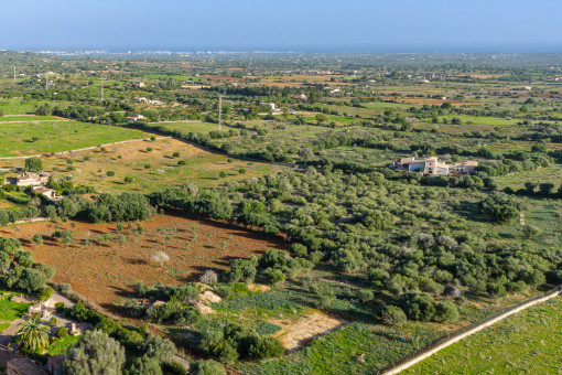 Terrain à Porto Cristo