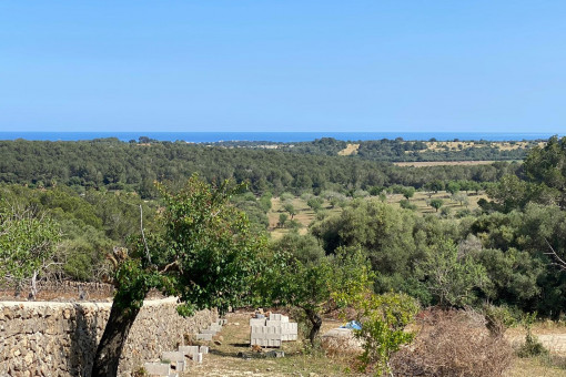 Terrain à Cala Murada