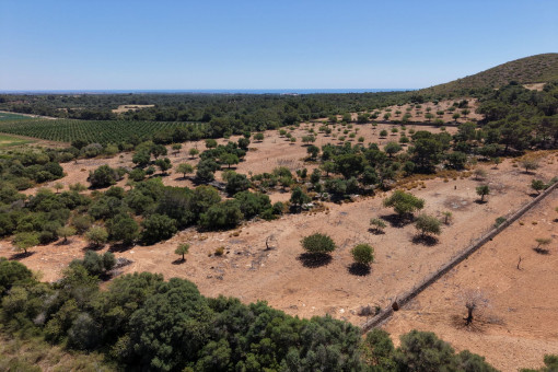 Terrain à Manacor-South