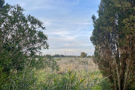 Terrain à Porreres