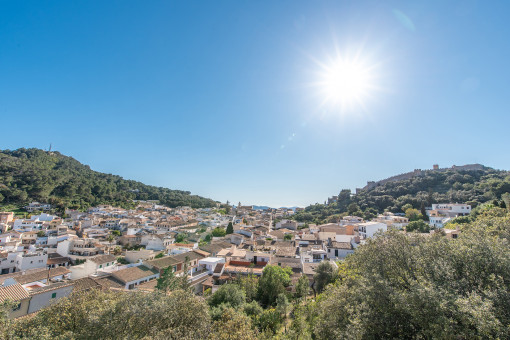 SC2_2485