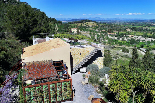 Finca