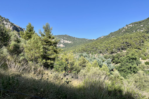 Terrain à Valldemossa
