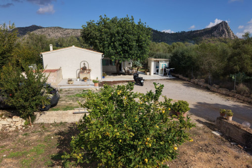 Cottage à Llucmajor