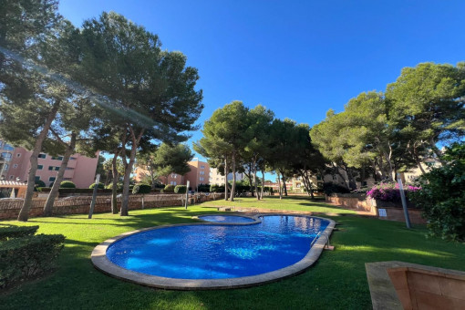 Appartement à Mayoris Decima